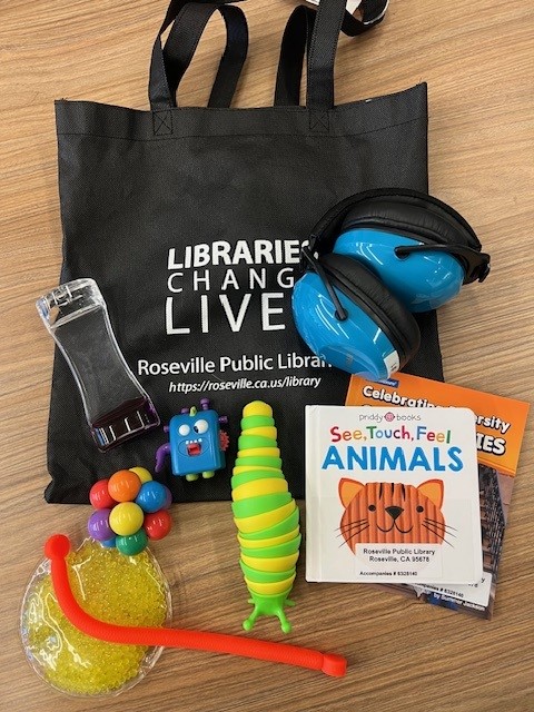 Library Sensory Kits